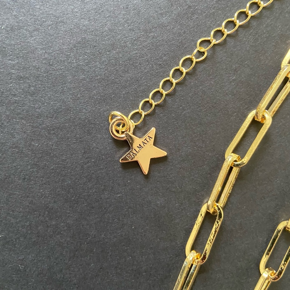 Dalmata Raggiente Gold Chain Necklace - Picture 3 of 4